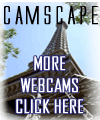 More web cams