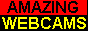 Amazing Webcams