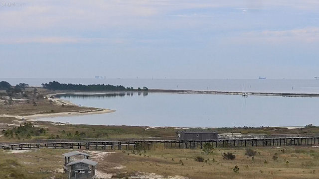 View Dauphin Island South