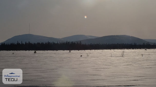 View Wetland Views