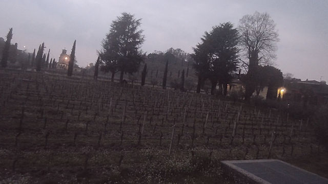 View Bredasole Vineyards