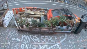 Pinky's Space Webcam in Manhattan